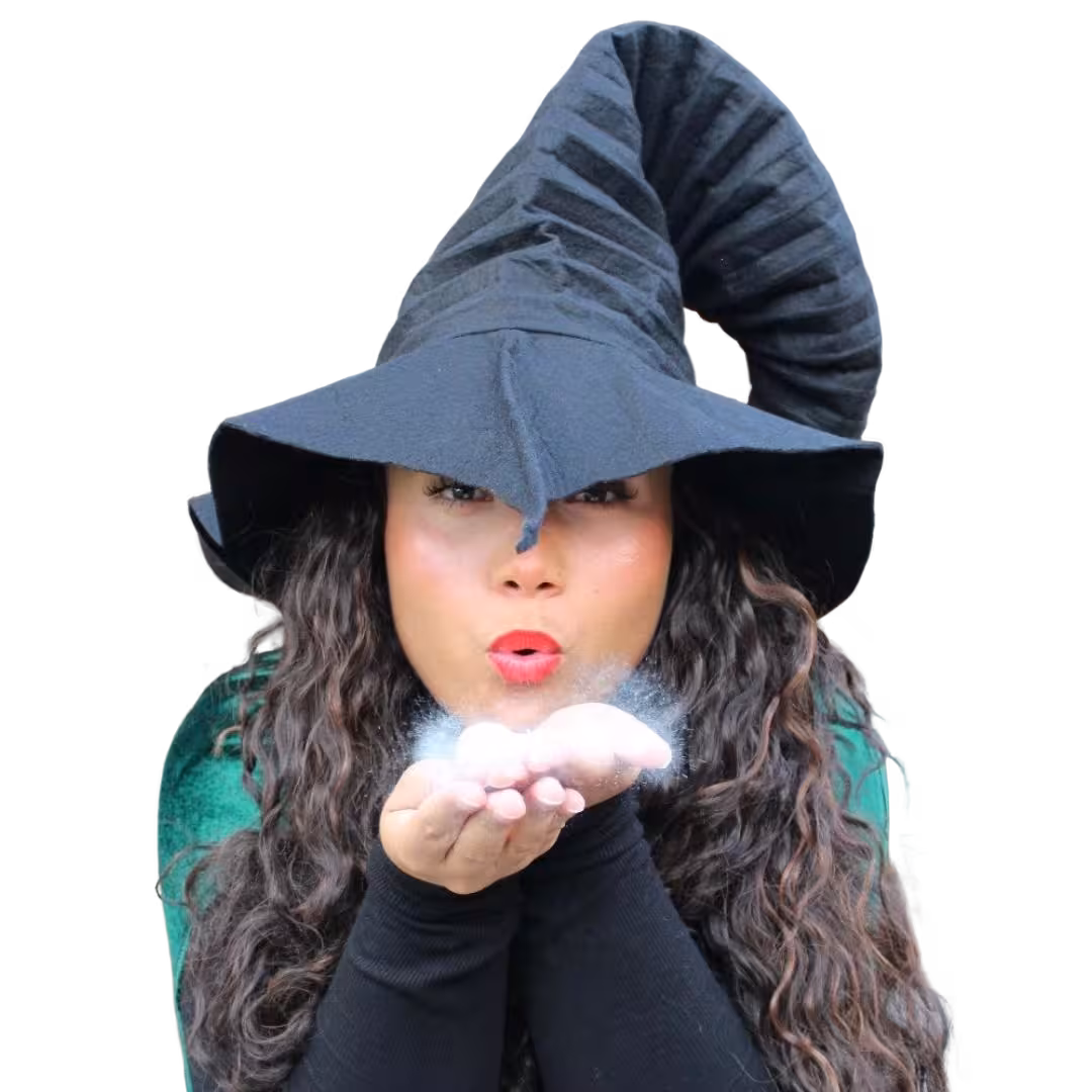 The Witch character costume